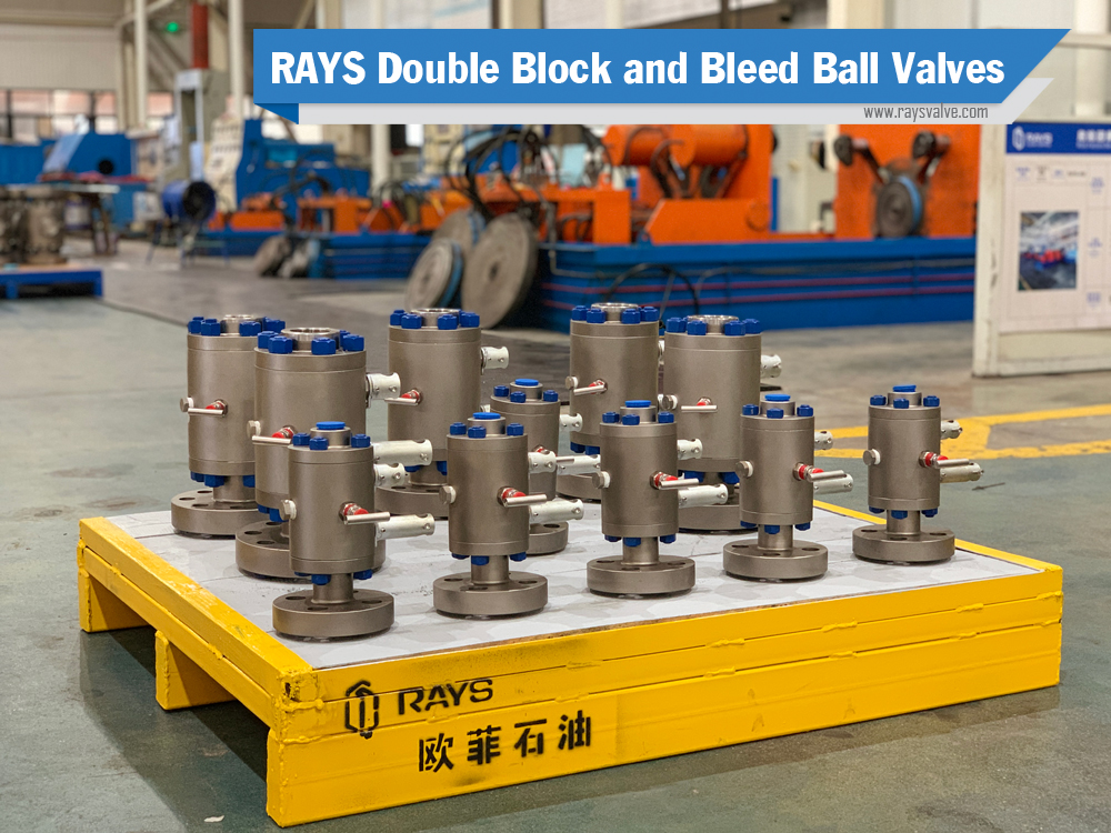Rays double block and bleed ball valves1