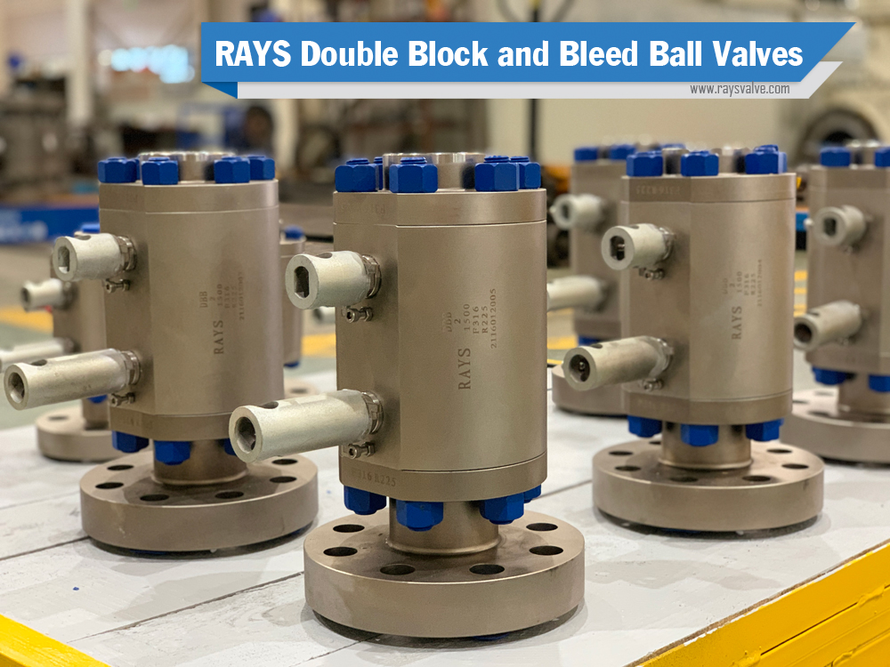 Rays double block and bleed ball valves2
